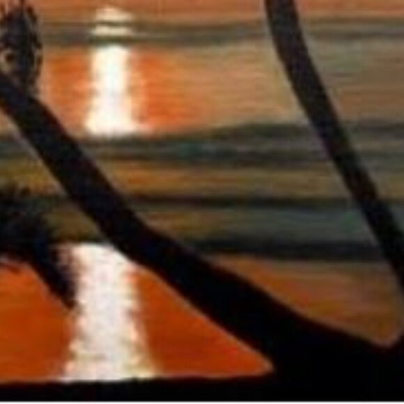 Panama Island Sunset - Picture 4 of 7